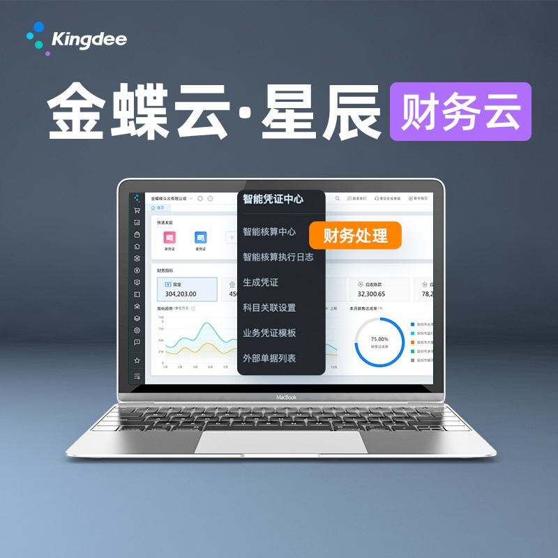 金蝶云星辰財(cái)稅云-sass網(wǎng)頁(yè)版云端財(cái)務(wù)軟件
