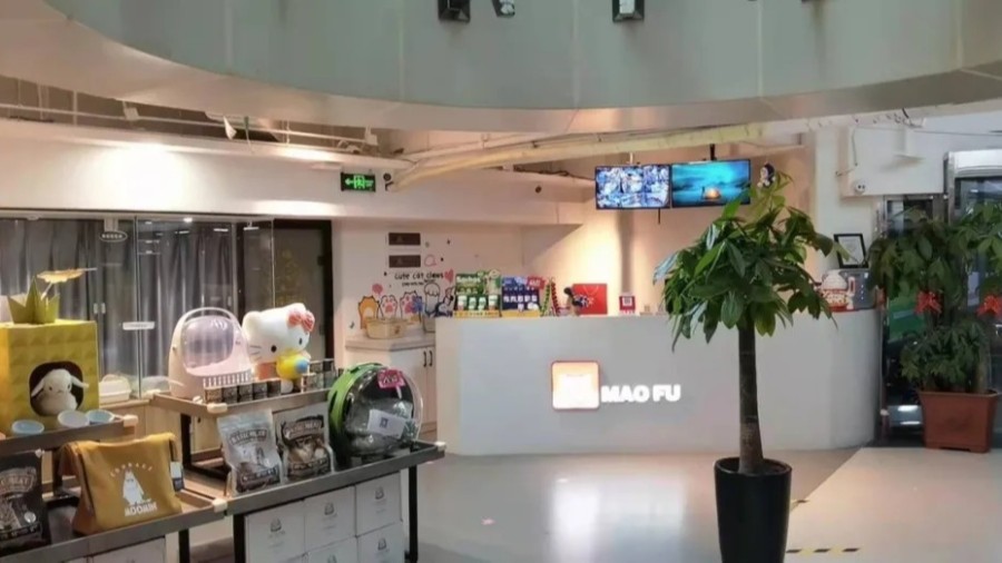 金蝶云星辰寵物行業(yè)案例：新零售時(shí)代，寵物企業(yè)如何決勝市場(chǎng)?