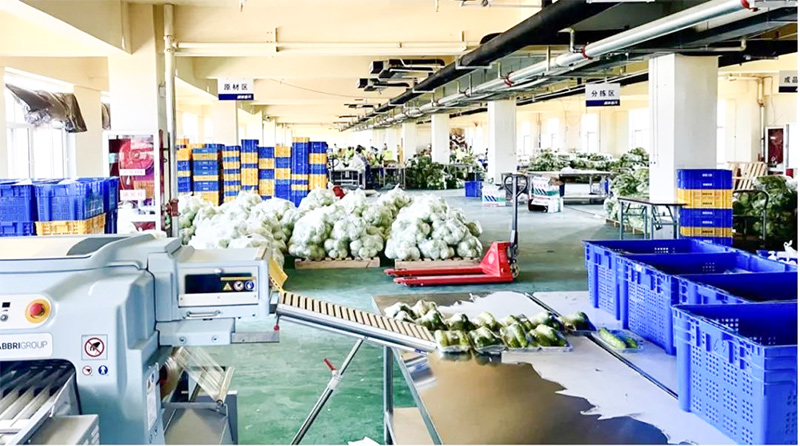 夢蝶科技案例分享：冷鏈物流企業(yè)跑步入局，數(shù)字化逐鹿百億級賽道